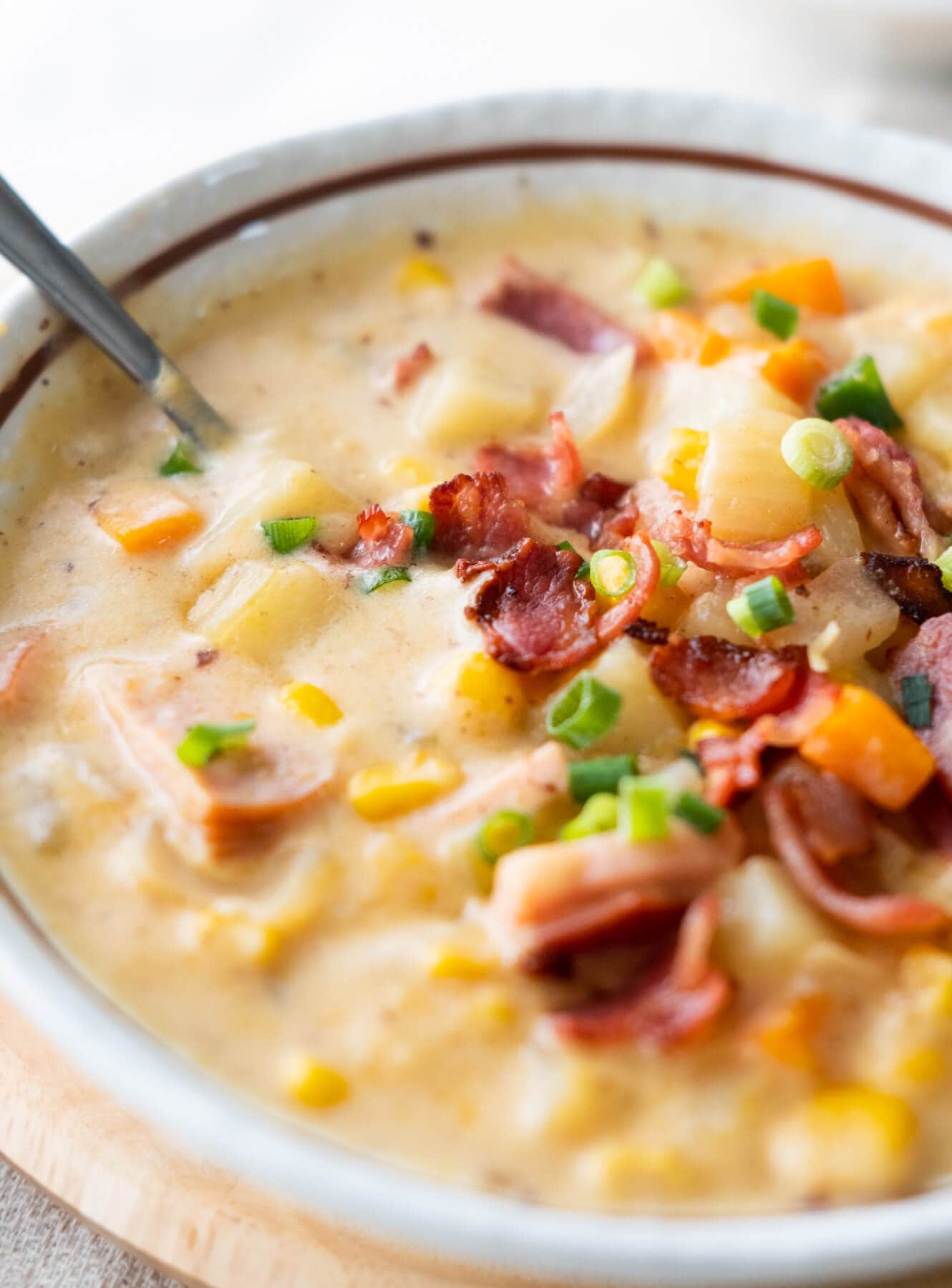Closed up shot of a bowl of delicious cheesy chowder with ham, onions, and carrots and sprinkled with freshly chopped green onion. 